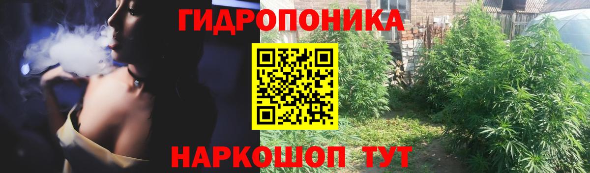 Бошки марихуана гибрид Обь